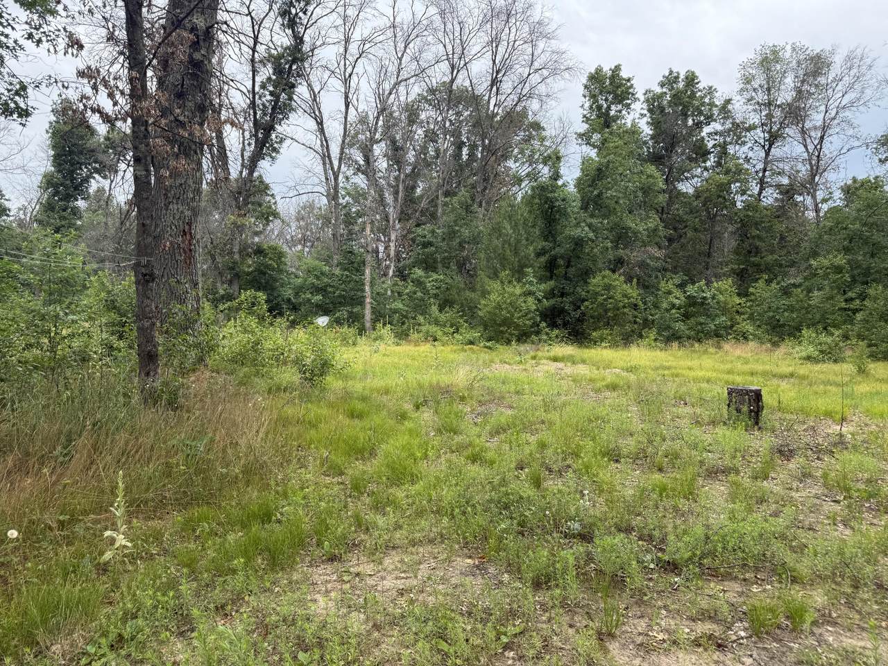 102 Peoria Avenue - Photo 1