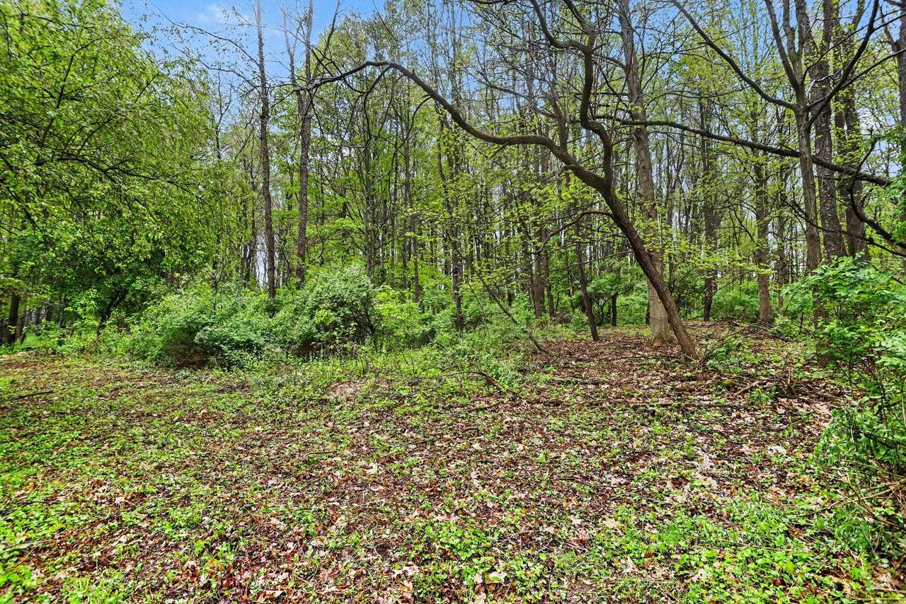 https://bt-photos.global.ssl.fastly.net/swmich/1280_boomver_6_25056320-2.jpg