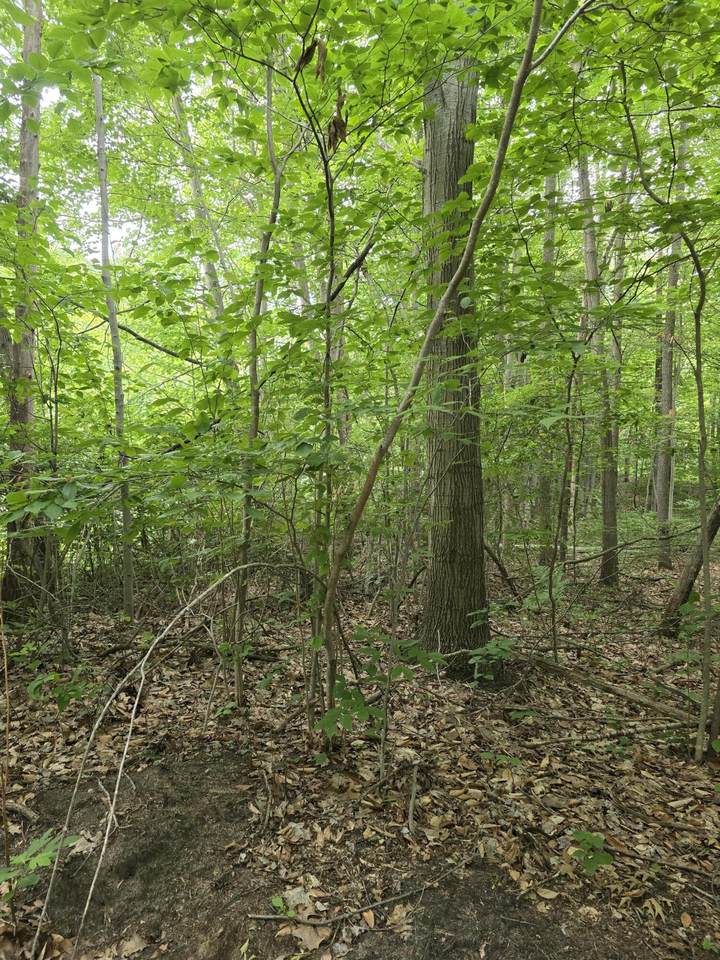 Lot D 64th Street - Photo 1