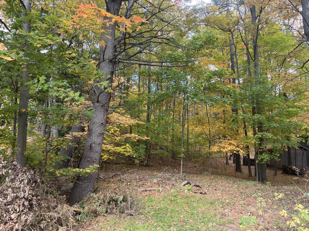 V/L Beverly - Photo 1