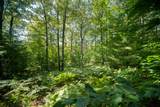  Emerald Ridge - Photo 16