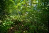  Emerald Ridge - Photo 4