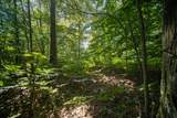  Emerald Ridge - Photo 5