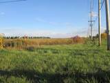 V/L Niles Road - Photo 2