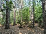 810 White Birch Lane - Photo 7