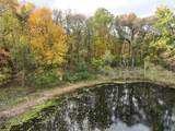 8445 Knotty Pine Lane - Photo 13