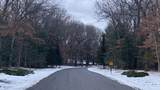 VL Wildwood Drive - Photo 4