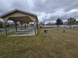 10996 Westmoor Drive - Photo 7