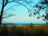  Indigo Trail - Photo 2