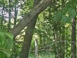 0 Sylvan 57 Acres - Photo 17
