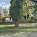 814 / Woodlawn Avenue - Photo 3