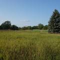 10211 Fairway Drive - Photo 10