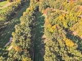 5751 Brooklyn Road - Photo 169