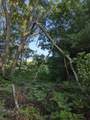  0 Ewing Road D Road - Photo 8