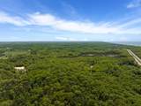 4317 Taube Road - Photo 3