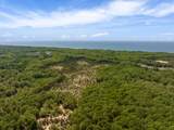 4317 Taube Road - Photo 6
