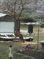 1242 Nature Way - Photo 37