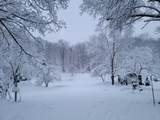 1242 Nature Way - Photo 40