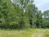  Pawnee Trail - Photo 4