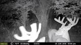  V/L M66- 102+/- - Photo 12