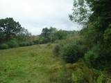 V/l Hawkins Road - Photo 1