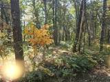 V/L Wilma's Way - Photo 2