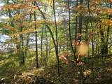 V/L Wilma's Way - Photo 4
