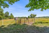 1436 Honey Run Drive - Photo 35