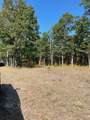  70.66 Acres M-55 - Photo 3