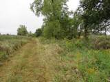  Vl Mcclure Rd - Wolf Hwy. - Photo 11