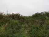  Vl Mcclure Rd - Wolf Hwy. - Photo 14
