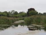  Vl Mcclure Rd - Wolf Hwy. - Photo 15