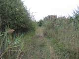  Vl Mcclure Rd - Wolf Hwy. - Photo 18