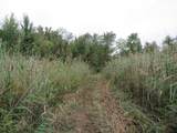  Vl Mcclure Rd - Wolf Hwy. - Photo 20