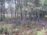  Vl Mcclure Rd - Wolf Hwy. - Photo 30