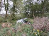  Vl Mcclure Rd - Wolf Hwy. - Photo 4