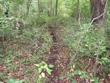  Vl Mcclure Rd - Wolf Hwy. - Photo 40