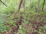 Vl Mcclure Rd - Wolf Hwy. - Photo 41