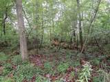  Vl Mcclure Rd - Wolf Hwy. - Photo 43