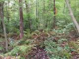  Vl Mcclure Rd - Wolf Hwy. - Photo 47