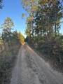 VL River Lake Road - Photo 9
