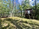00 Forest Lane - Photo 1