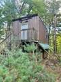 00 Forest Lane - Photo 2
