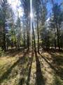 00 Forest Lane - Photo 4