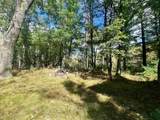 00 Forest Lane - Photo 6