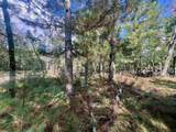 00 Forest Lane - Photo 7
