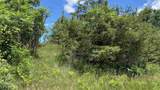 11770 Penlawn Drive - Photo 5
