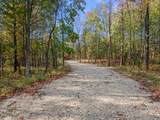 0 Butternut Dr (Parcel A) - Photo 6