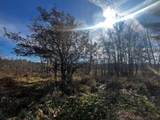 VL Twin Creek Road - Photo 10
