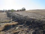  Vl Brown Road - Photo 8